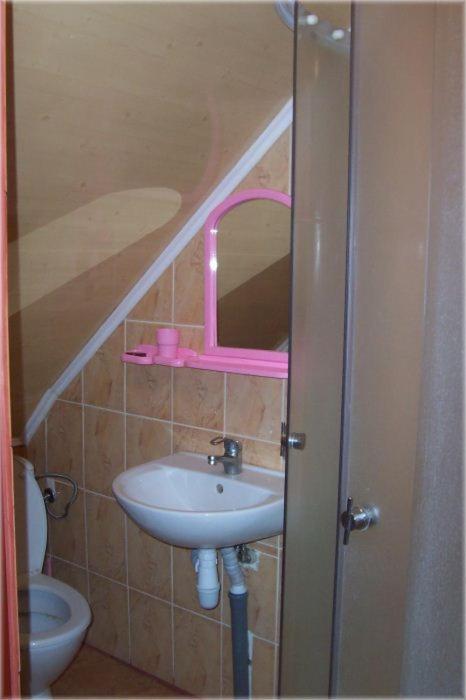 Hotel Boykivskiy Dvir Jasenyca Zamkova Pokoj fotografie